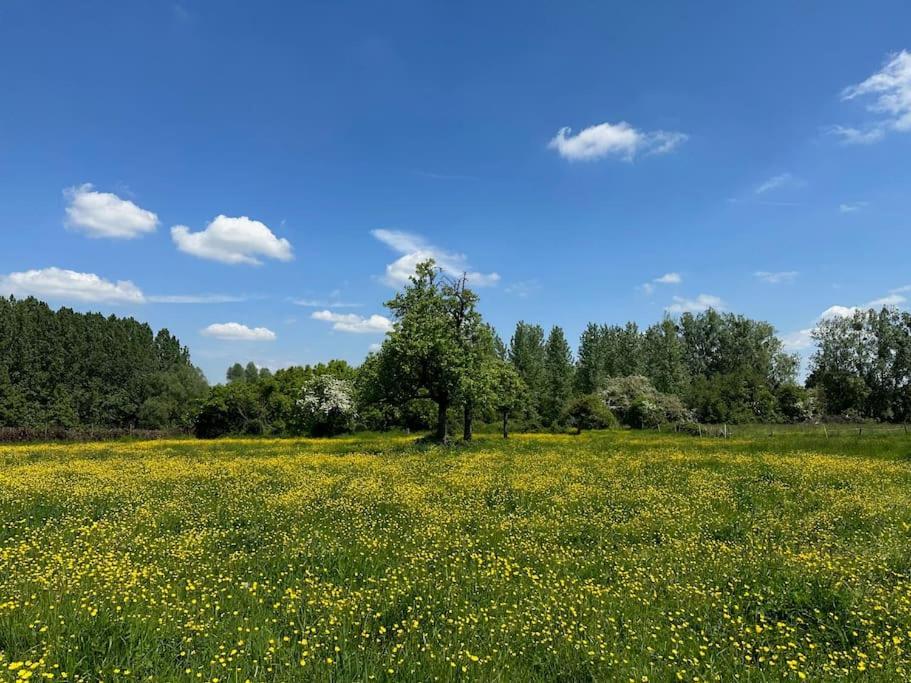 Kortessem Vakantiewoning Hoogveld מראה חיצוני תמונה