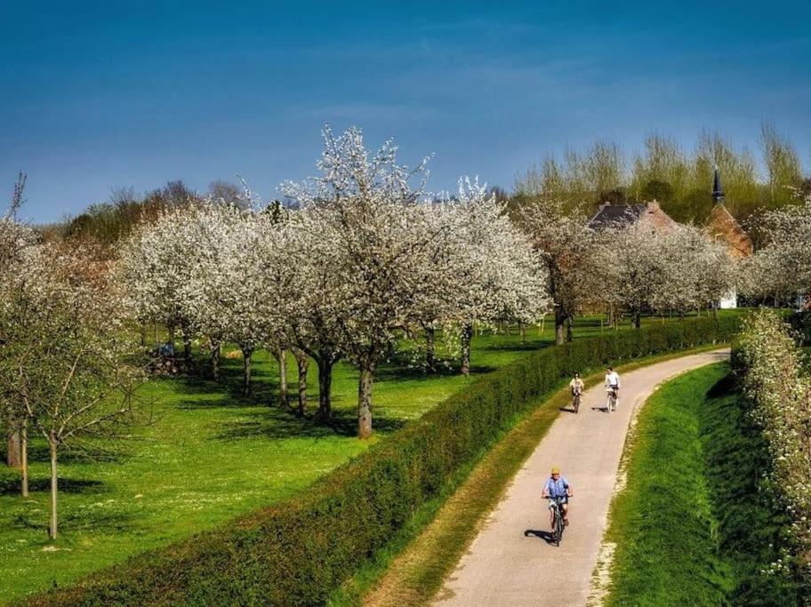 Kortessem Vakantiewoning Hoogveld מראה חיצוני תמונה